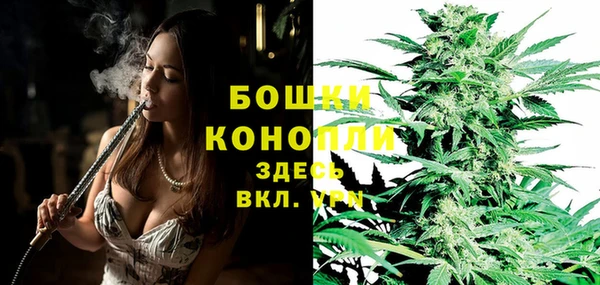 мет Арсеньев