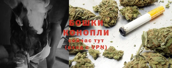 мет Арсеньев